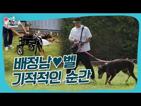 사랑의 힘 #미우새