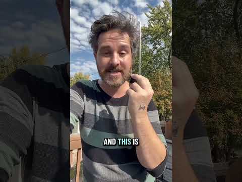 You got to admit it does make you look stupid. #microphones #fyp #genz #trending #filmmaking