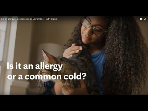 Is it an allergy or a common cold? Mayo Clinic Health System