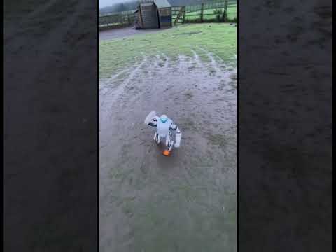 Meet my little friend #shorts #robot #robotics