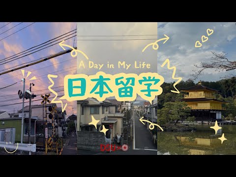 [2025-1 CAMPUS Asia 이동캠퍼스] 일본 유학 생활편 (3학년)