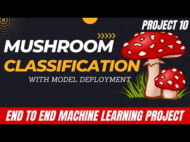 Can Machine Learning Be Used to Classify Mushrooms?
