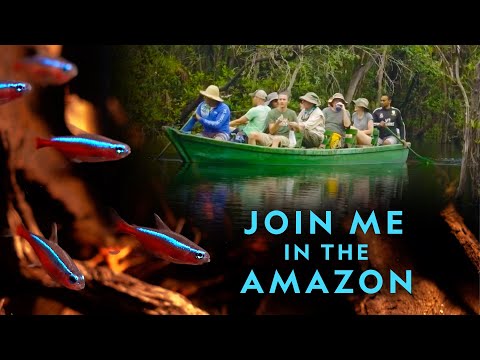 JOIN ME IN THE AMAZON RAINFOREST!!  Project Piaba  Project Piaba
For 25 years, Project Piaba has been at the forefront of research into the Rio Negro f