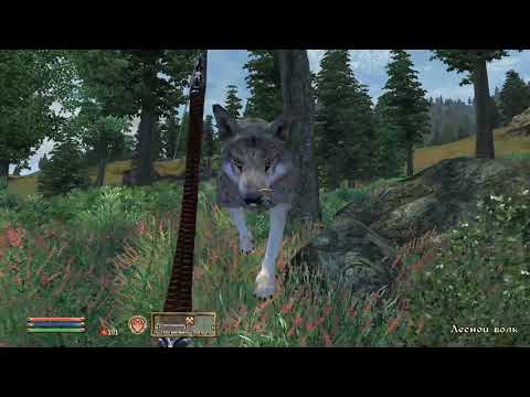 Запис пенсіонерського стріму по TES IV: Oblivion. День 1