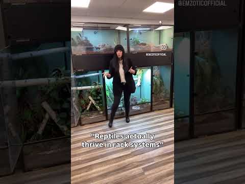 Is it ok to keep reptiles in rack systems?
