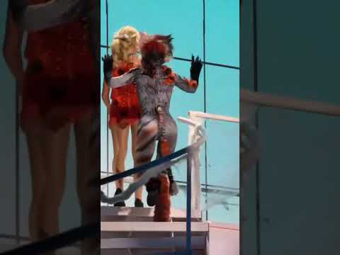 That’s that me espresso #sabrinacarpenter #shortnsweetour