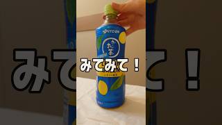このお茶に隠された秘密🍵 【#熊乃ベアトリーチェ #vtuber #お茶 #ペットボトル #shorts #日常 】