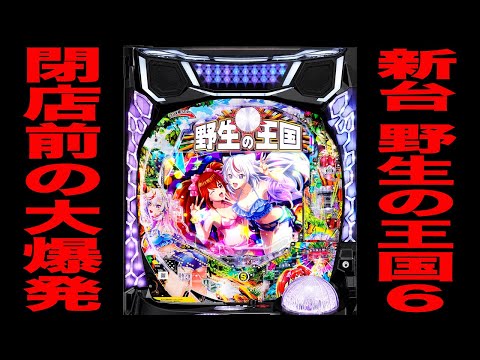 新台【野生の王国６】閉店３時間のガチ勝負で大爆発！[パチンコ・パチスロ]
