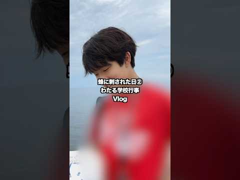 蜂に刺された日＆わたる学校行事Vlog #日常vlog #vlog