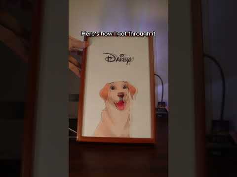 #dogs #podpups #disney #portrait