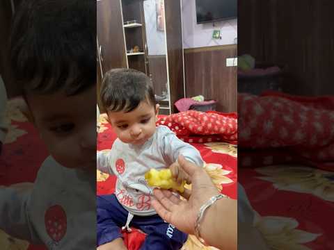 Ajj kutte nu roti ni khwa paye😒 #shortvideos #minivlog #vlog