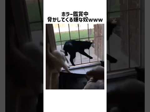 動物の世界にはこんな意外な一面も！怖い生態を紹介 サムネイル