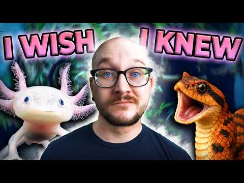 The Hardest Lessons I've Learned Keeping Reptiles Try Miyagi Labs today at https_//miyagilabs.ai/wwr to learn from your favorite YouTube creators or m