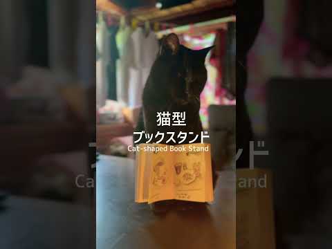 そして私が最強のスタンド使いってわけ　Cat-shaped Versatile Stand サムネイル