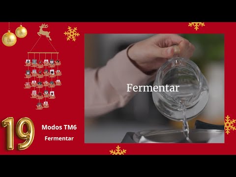 ? 19 DE DICIEMBRE ?  Modo Fermentar Thermomix® TM6