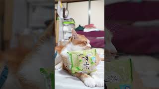 動画サムネイル