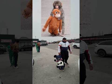 Bizdagisi panda😀