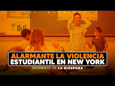 Alarmante la violencia estudiantil en New York - Segmento de la Diáspora (Rafael Matos)