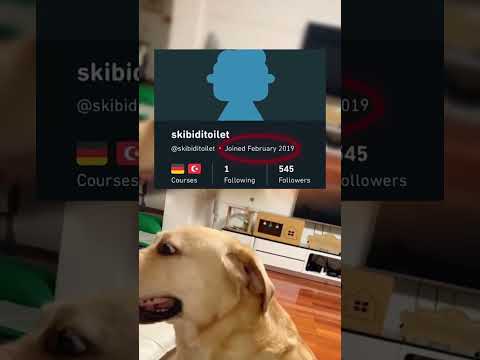 #memes #story #dog #shorts #pets