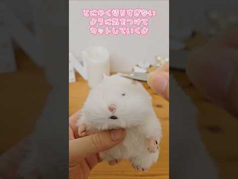 ついにはむにぎりをゲット！！初めてのトリミング【ぬい活】