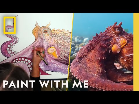 Paint an Octopus With Me | Lofi Relaxing Vibes | National Geographic