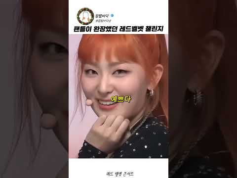<strong>레드벨벳</strong> 콘서트에서만 볼수있는 레전드 챌린지