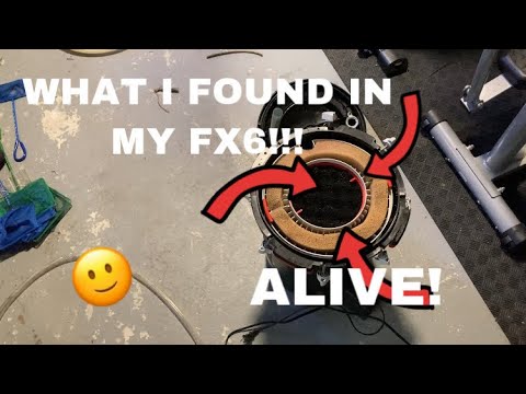 Whats alive inside the FX6!! Went to do a quick cleaning on one of the FX6’s and I was shocked at what I found!
Fish room.Filte