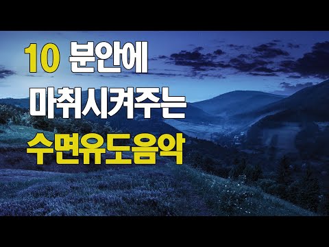 10분안에 마취시켜주는잠잘때 듣는 음악 | 할 일이 많은 날 고효율 5시간 숙면!