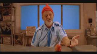 The Life Aquatic with Steve Zissou - Does this seem fake?