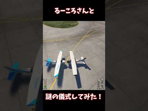 るーころさんと謎の儀式してみた @RUUCORO-0218