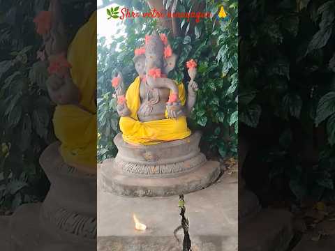 🚩🌺om shri vetri vinayagar🌿🌳🙏#channelpages#shortsfeed#vinayagar#trending#viralvideo#shortvideo#viral