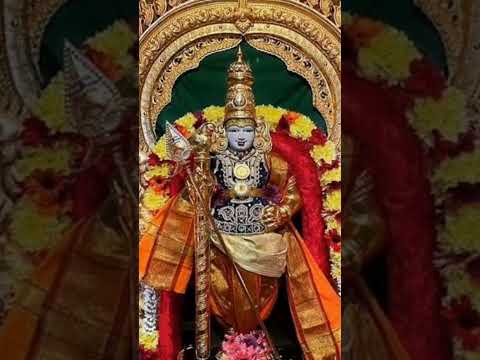 கந்தவேல் முருகனுக்கு அரோகரா🙏 #tamil #tamilnadu #pondicherry #shortsviral #shorts #shortsvideo #shots