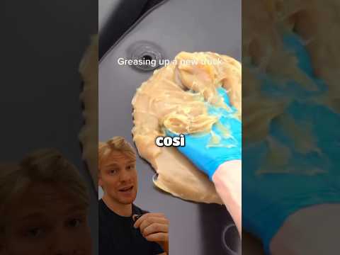 perché il grasso per macchine ha così tanti colori🤔😱