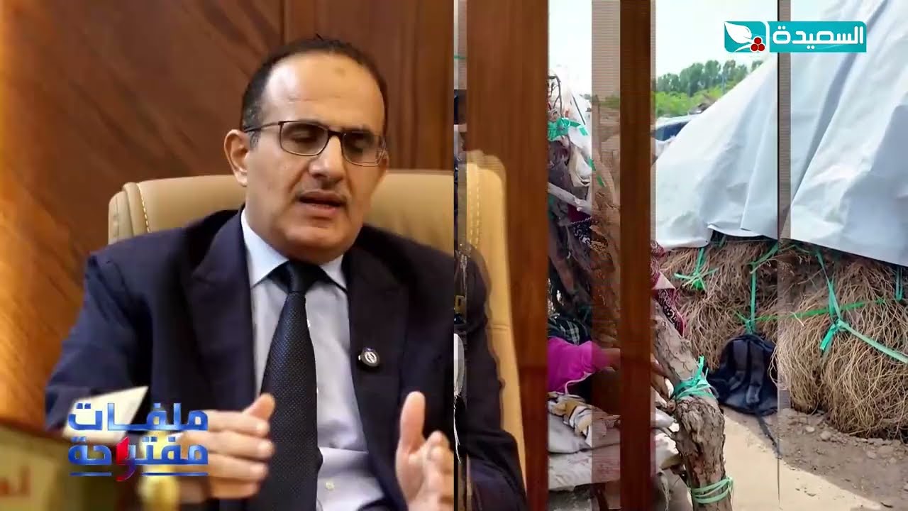 قناة السعيدة