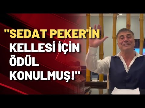 SEDAT PEKER İÇİN İNFAZ EMRİ! Sedat Peker'e yakın isim Ağırel'e açıkladı!