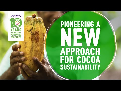 10 Years of Cocoa Life: Pioneering a New Approach for Cocoa Sustainability