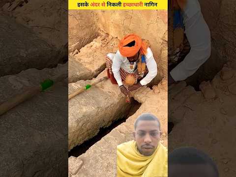 echha dharin nagina Raha ti hai #facts #naaginjaisikamarhila #naagmani #funny #funpost #funpage #f