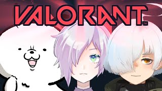 【VALORANT】大騒ぎ【w/寺井氷 ぽろんぬ】