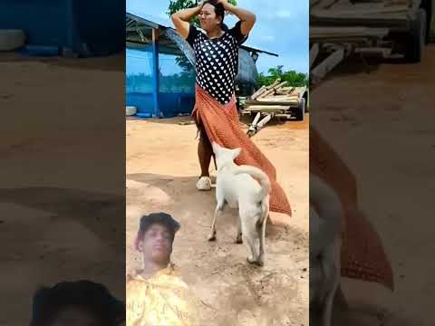 #timelapse Star to finish alone build log cabin (wooden house) how to build wooden cabin surviva