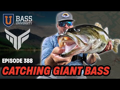 Ben Milliken | Locate & Catch Giant Bass - Bass University Live #388