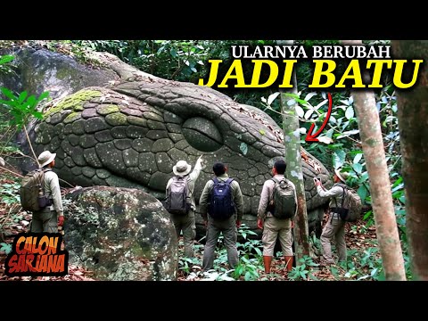 BUKAN DONGENG! 🐍⚠️ Inilah Penemuan Ular 150 Meter yang Telah Membatu Sempurna di Dunia!