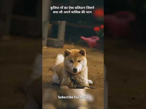 कुतिया माँ का ऐसा बलिदान जिसने बचा ली अपने मालिक की जान#viral #shorts