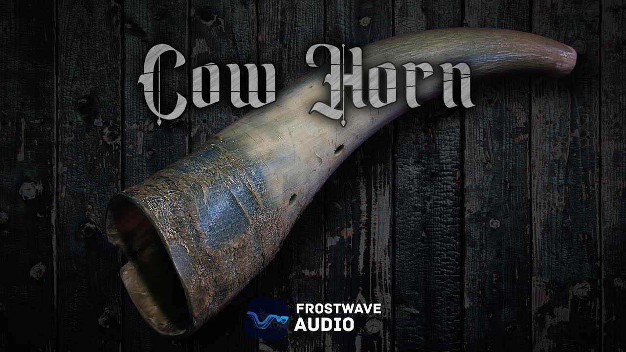 Social media Niklas Euren