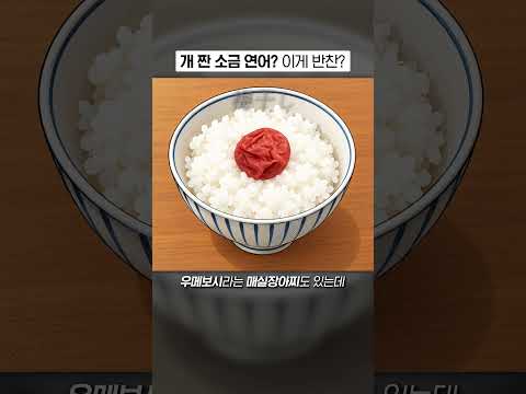 <strong>소금</strong> 덩어리 아니야...?