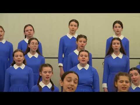Ф. Библ | F. Biebl "Ave Maria"
