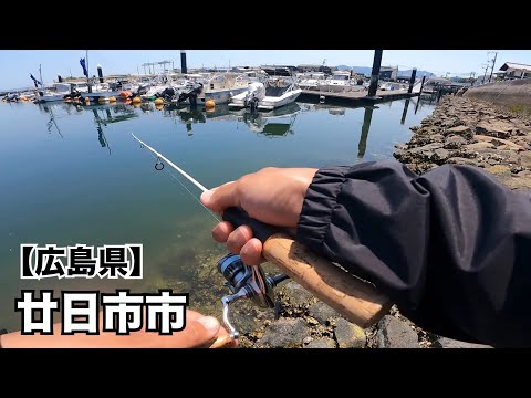【広島釣り】いつもの根魚爆釣ポイントでハードプラグ縛りは通用するのか⁉️