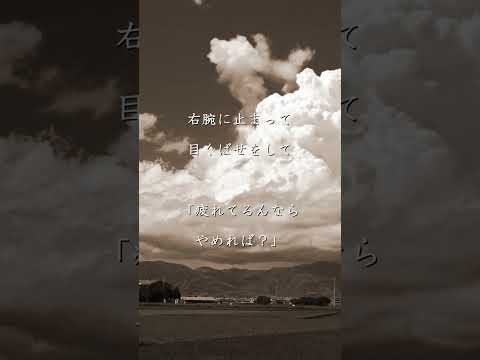 花火 aiko