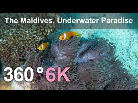 The Maldives. Underwater Paradise. Relaxing 360 video in 6K.