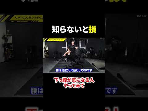 効きすぎ注意⚠️これできる人は腹筋上級者です。#shorts #youtubeshorts #筋トレ大学 #筋肉 #山本義徳#下っ腹