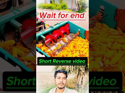 273 I like 👍 this video #hindisong #love #newsong #viralvideos #trending #youtube #popular #shorts
